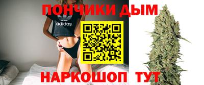 стаф Гатчина