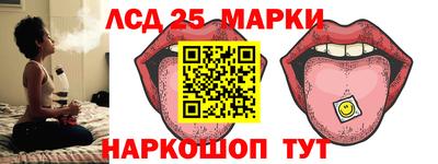 стаф Гатчина