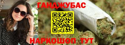 стаф Гатчина