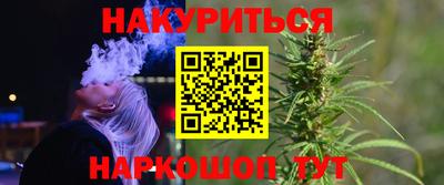 стаф Гатчина