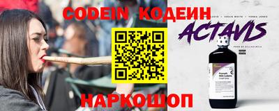 стаф Гатчина