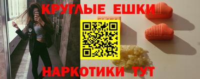 стаф Гатчина
